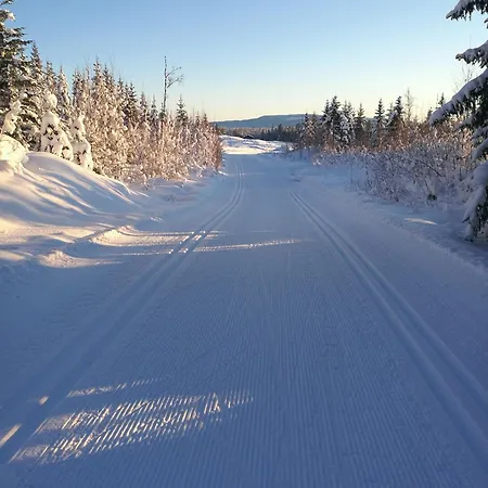 A House For Rent In Osen, Only 45 Min From Trysil Amot